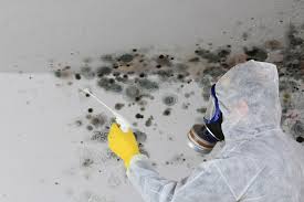 Best Mold Remediation for Healthcare Facilities in USA